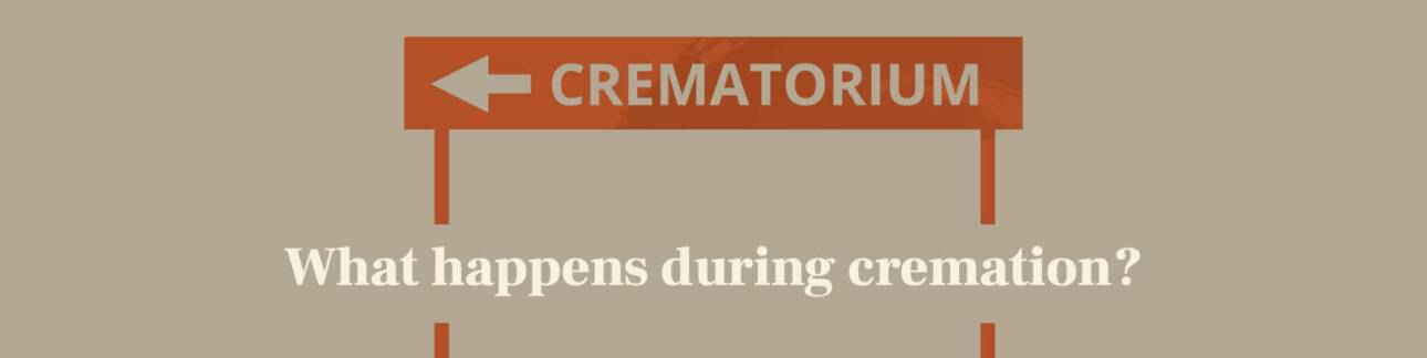 What happens during cremation